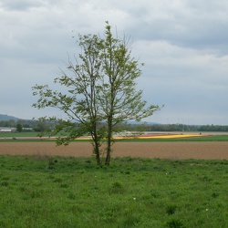 20210515 radtourimpressionen