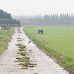 20211214 reiher und greifvogel
