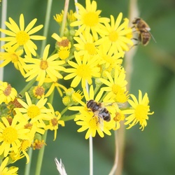 20220708 radtour epsendorf