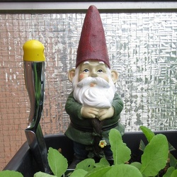 artikelbilder_680x680